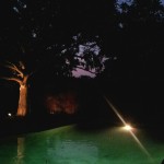 Night swimming