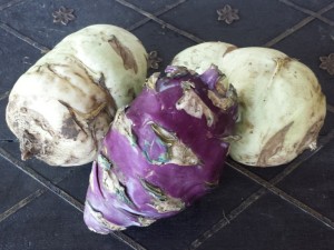 Kohlrabi